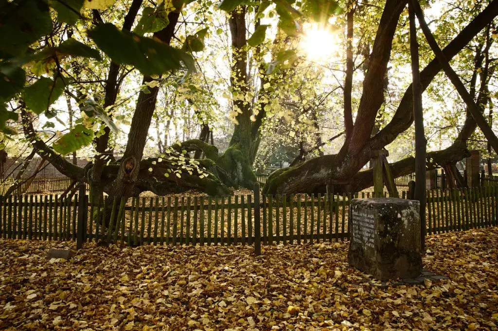 Zámecký park Bzenec